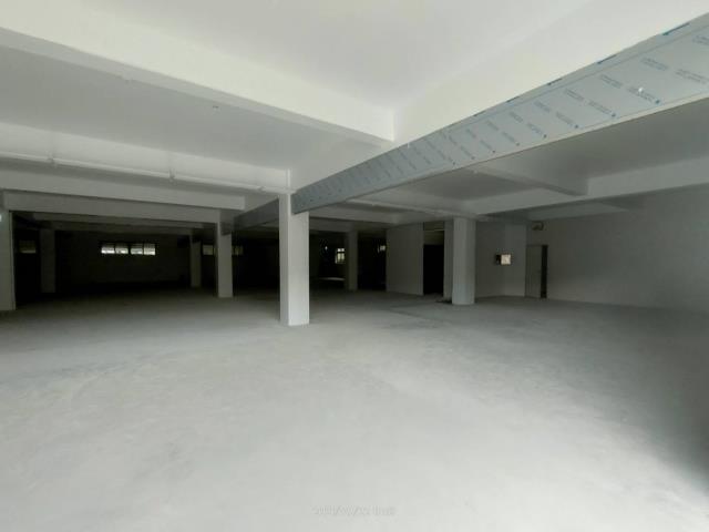 桃園廠房-1