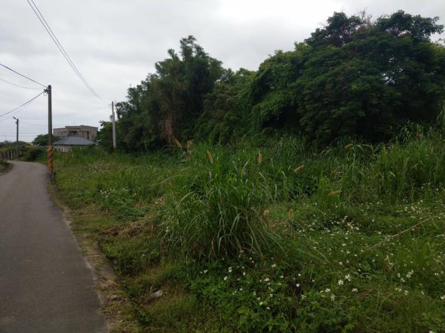 桃園大園工業地-1