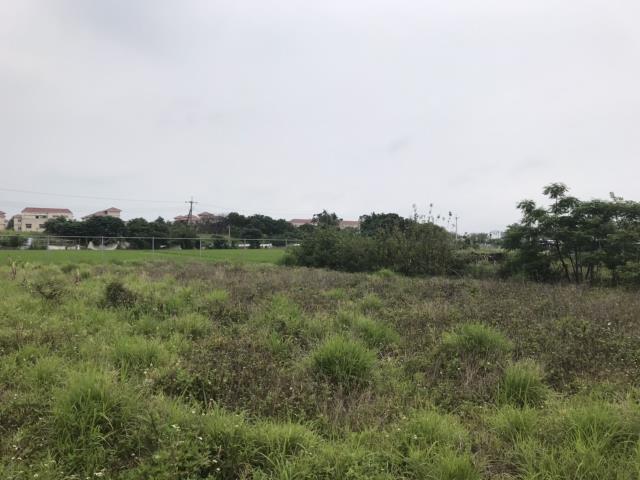 竹南工業地-1